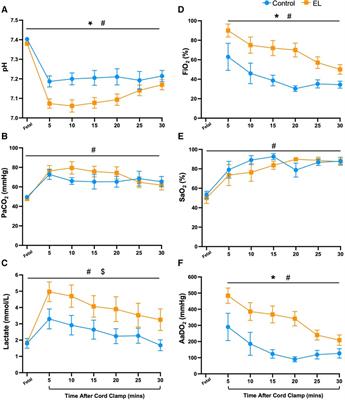 Adverse respiratory patterns in near-term spontaneously breathing newborn lambs with elevated airway liquid volumes at birth
